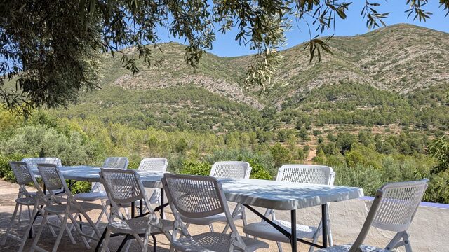 Experiencia 1: Visita al Olivar  + Comida (Paella) + 1 Botella de Aceite 
