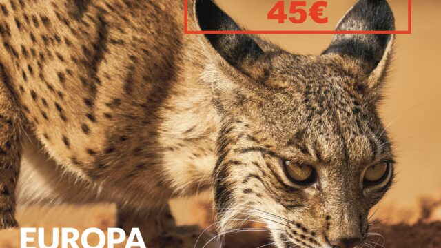 ¡OFERTÓN DE LANZAMIENTO! EUROPA por 45€