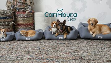 Carimbura PETS: Descanso Sostenible que Regenera Nuestra Tierra
