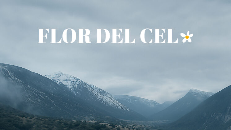Curtmetratge 'Flor del cel'