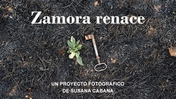 Zamora renace