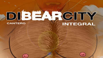 DIBEARCITY integral
