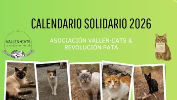 Calendario Solidario Gatuno 2026: Tu ayuda deja huella