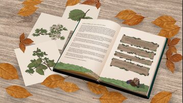 ForestQuiz. Un llibre per entendre el bosc