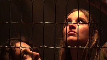 Helena. La cara oculta de la guerra.