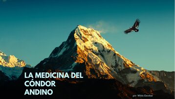 la medicina del cóndor andino