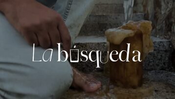 La Búsqueda