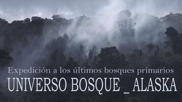 UNIVERSO BOSQUE_ALASKA