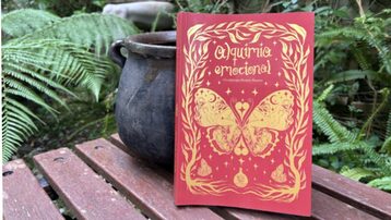 ALQUIMIA EMOCIONAL LIBRO 