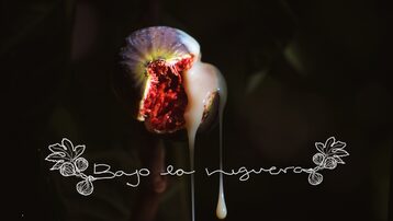 BAJO LA HIGUERA