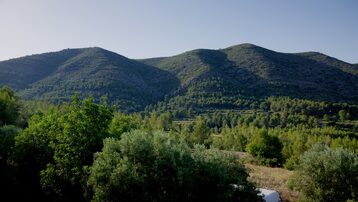 Ayúdanos a cuidar y proteger los olivares de montaña