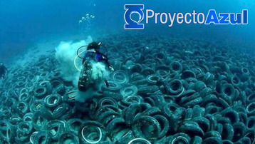  Rescate de Fondos Marinos 