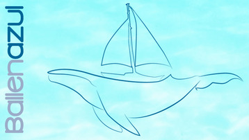 Ballenazul: navegar para proteger delfines, ballenas y orcas