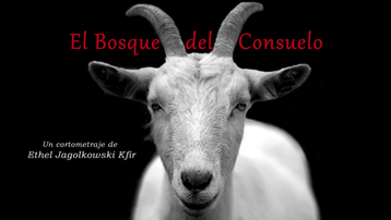 El Bosque del Consuelo 