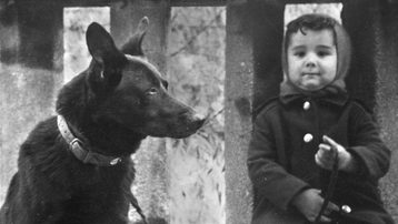 Els gossos de la meva vida