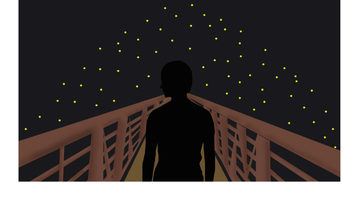 La noche de las luciérnagas