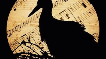 III Festival Internacional de Música Clásica "Ciudad Monumental de Cáceres", FIM´Cc 2019