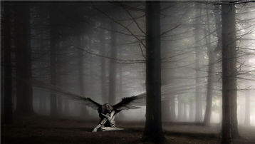 Vampiros y Albaricoques