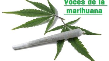 Voces de la marihuana