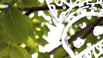 10 Aniversario Festival Punk al Bosc