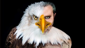 Disco "REFLEXIÓN" - Renovarse o morir