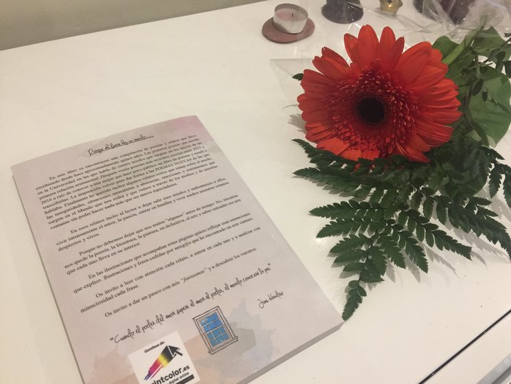 contraportada y rosa