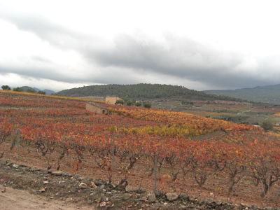 Paisatge de Capçanes