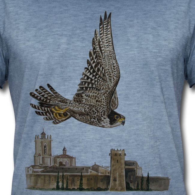 Falcó pelegrí Tarragona