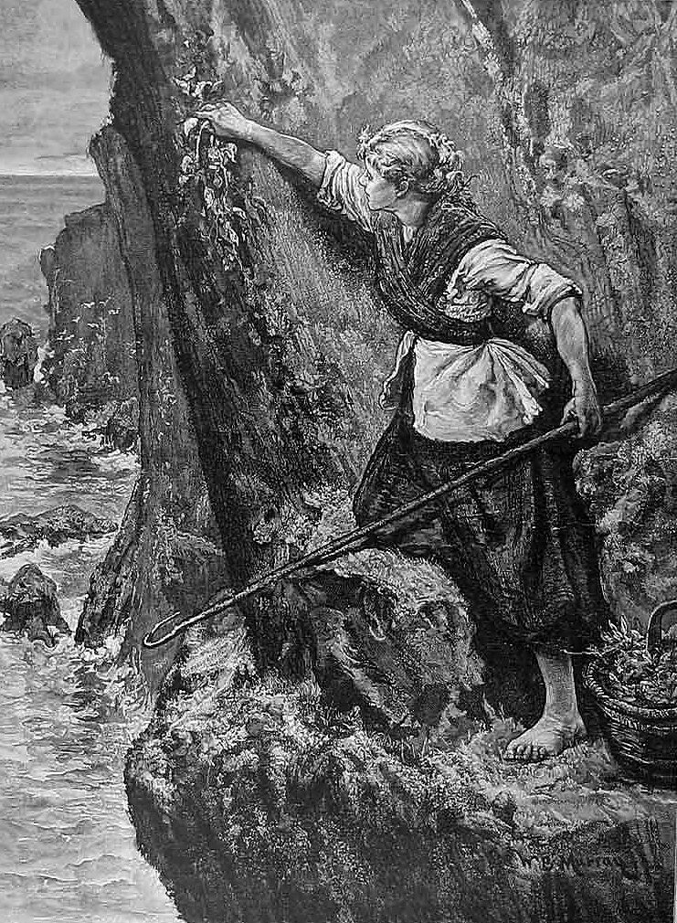 "There is a cliff whose high and bending head looks fearfully in the confined deep… Halfway down hangs one that gathers samphire, dreadful trade!". King Lear - Shakespeare