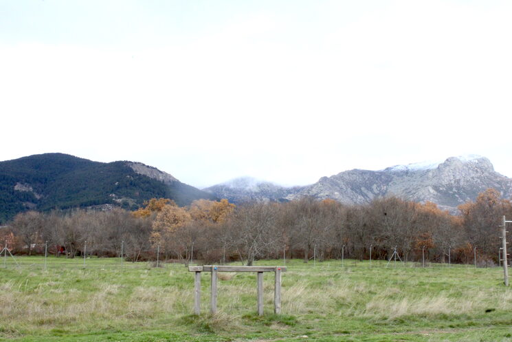 Fotografía del momento y lugar que ha inspirado la composición de Sendero.