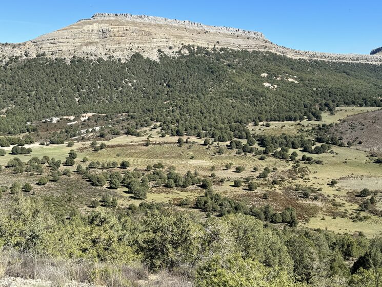 Burgos