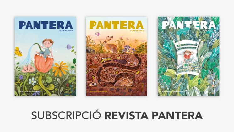 Il.lustració de portada de Verónica Fabregat