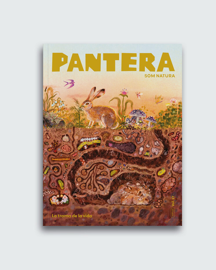 Il.lustració de portada de Sebastián Ilabaca