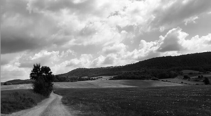 Voltants de la finca