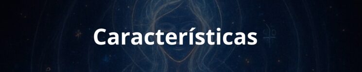 Características físicas de la Agenda
