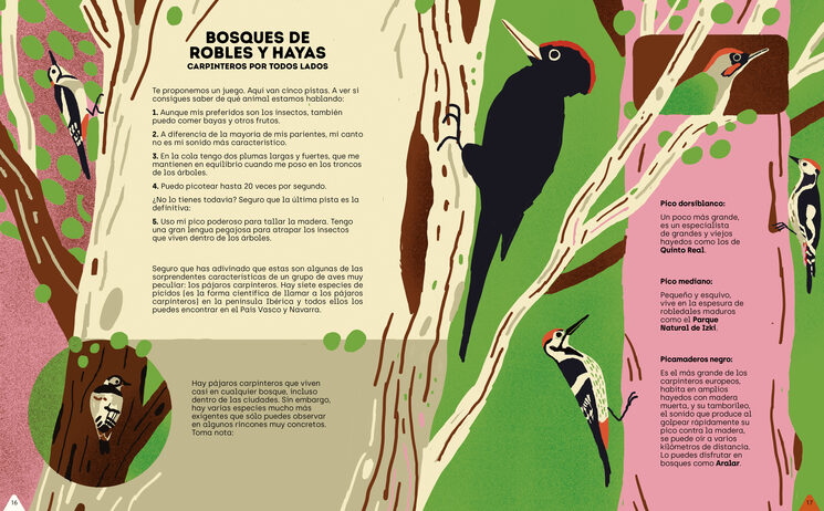 Euskal Herria natura