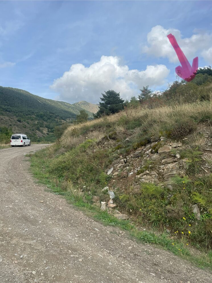 Camp comunal on estarà situada la butaca de sal. A la tardor s