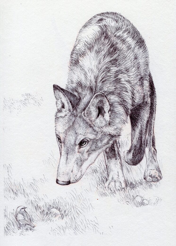 Obra a tinta de  José Onrubia.
