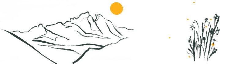 Pedraforca i flor (Carla Aledo)