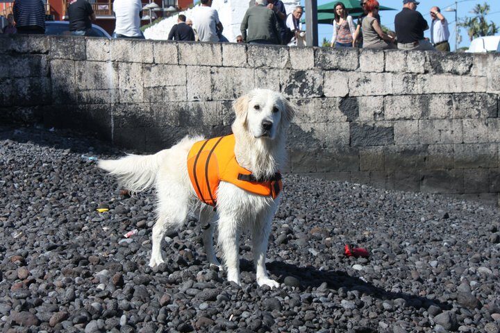Chui senior en su prueba de aptitud en Tenerife.