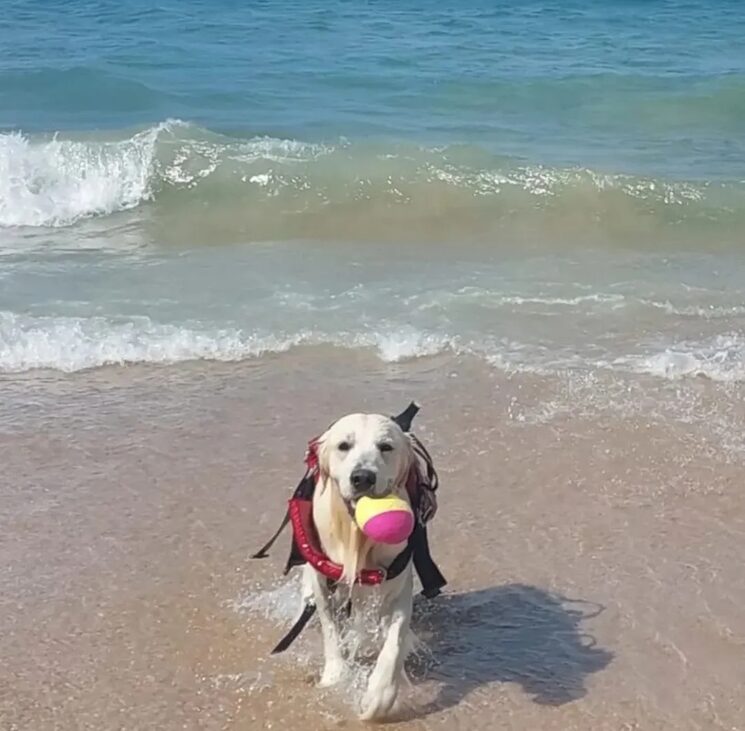Chui jr en uno de sus entrenamientos en Chiclana.