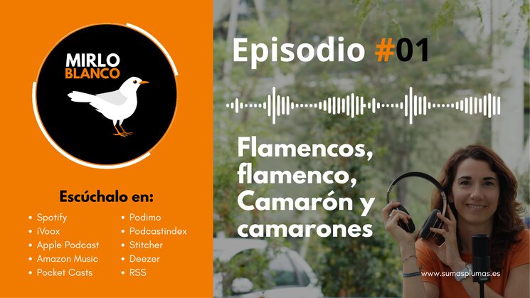 Oye: ¡ahora Sumas Plumas se puede escuchar!