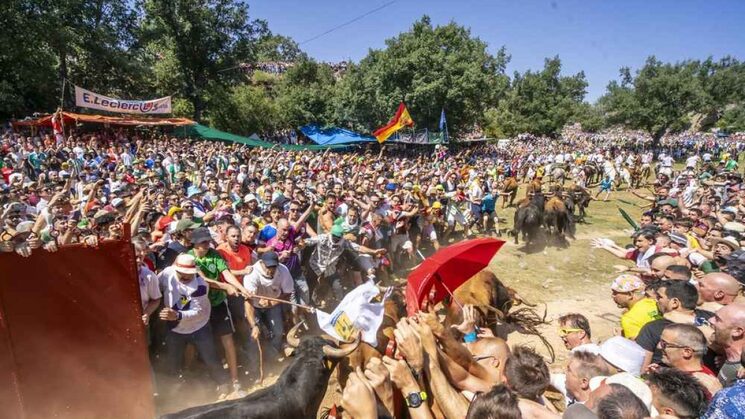 la "saca" de los toros en el monte Valonsadero