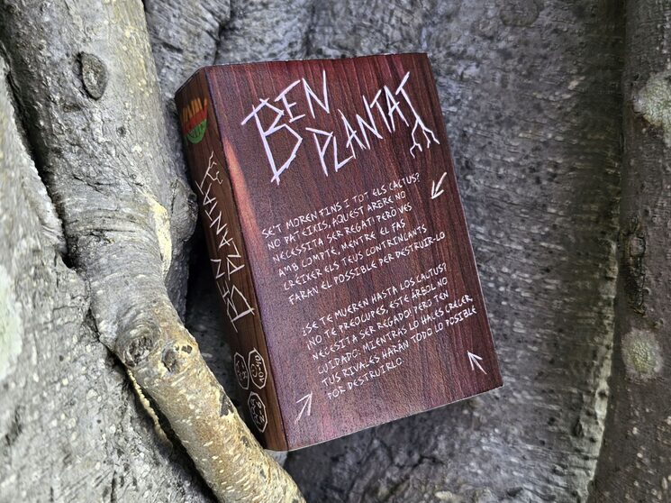 Parte trasera de la caja