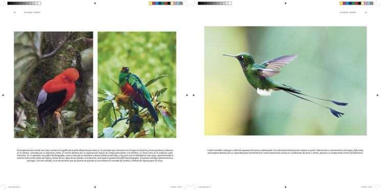 Libro AMÉRICA: ejemplo de dos páginas, una explosión de color.