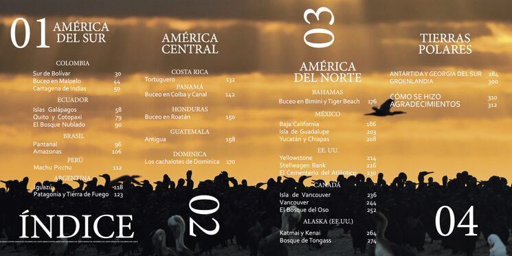 Libro AMÉRICA: índice de contenidos