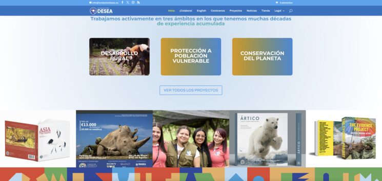 FUNDACIÓN DESEA: nuestra página web.