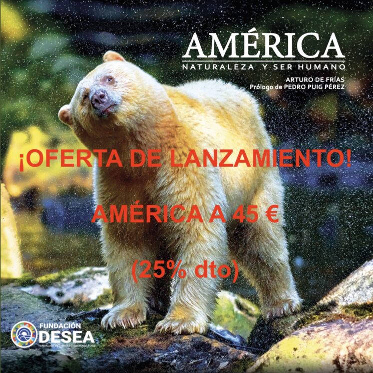 AMÉRICA en oferta de lanzamiento: 45 €