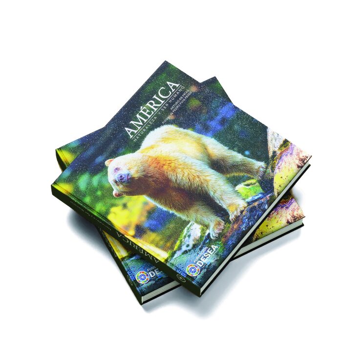 Libro AMÉRICA: el oso spirit ha sido la portada más votada