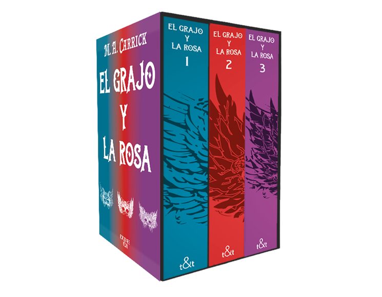 Diseño de caja provisional